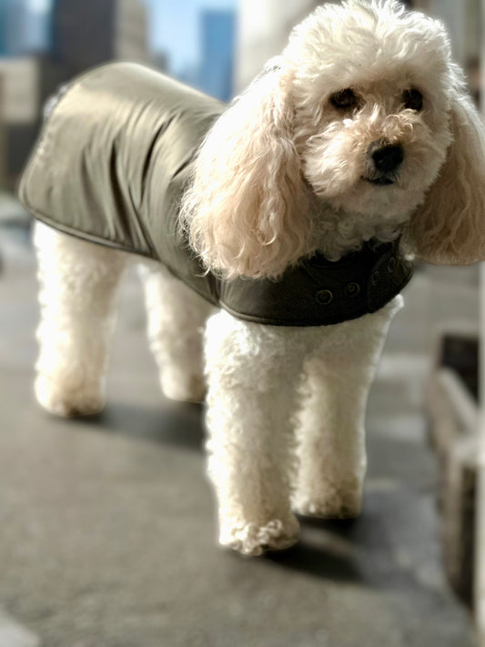 Manteau Réversible de Luxe pour Chien en Cachemire et Tissu Imperméable