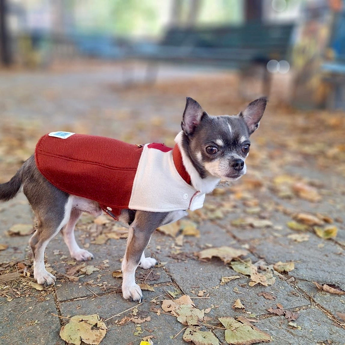 Cappotto in Puro Cachemire Bicolore Panna e Rosso Mattone
