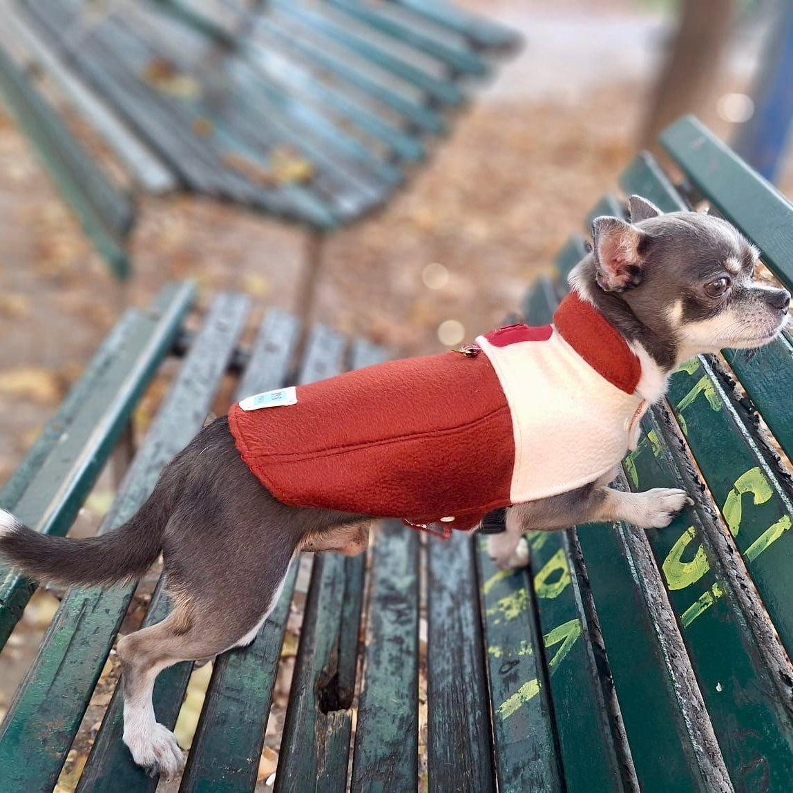 Cappotto in Puro Cachemire Bicolore Panna e Rosso Mattone