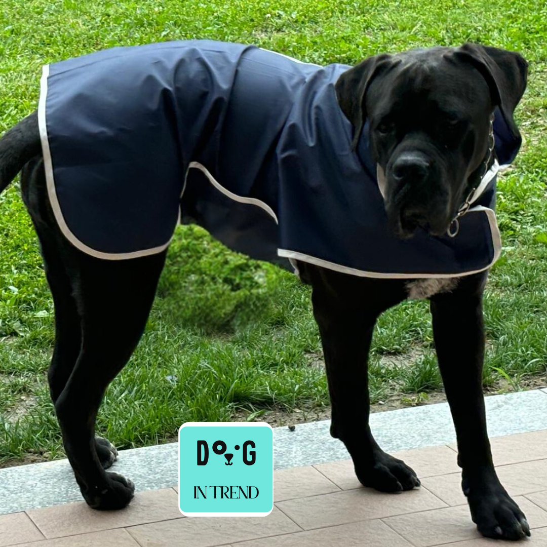 Navy Raincoat