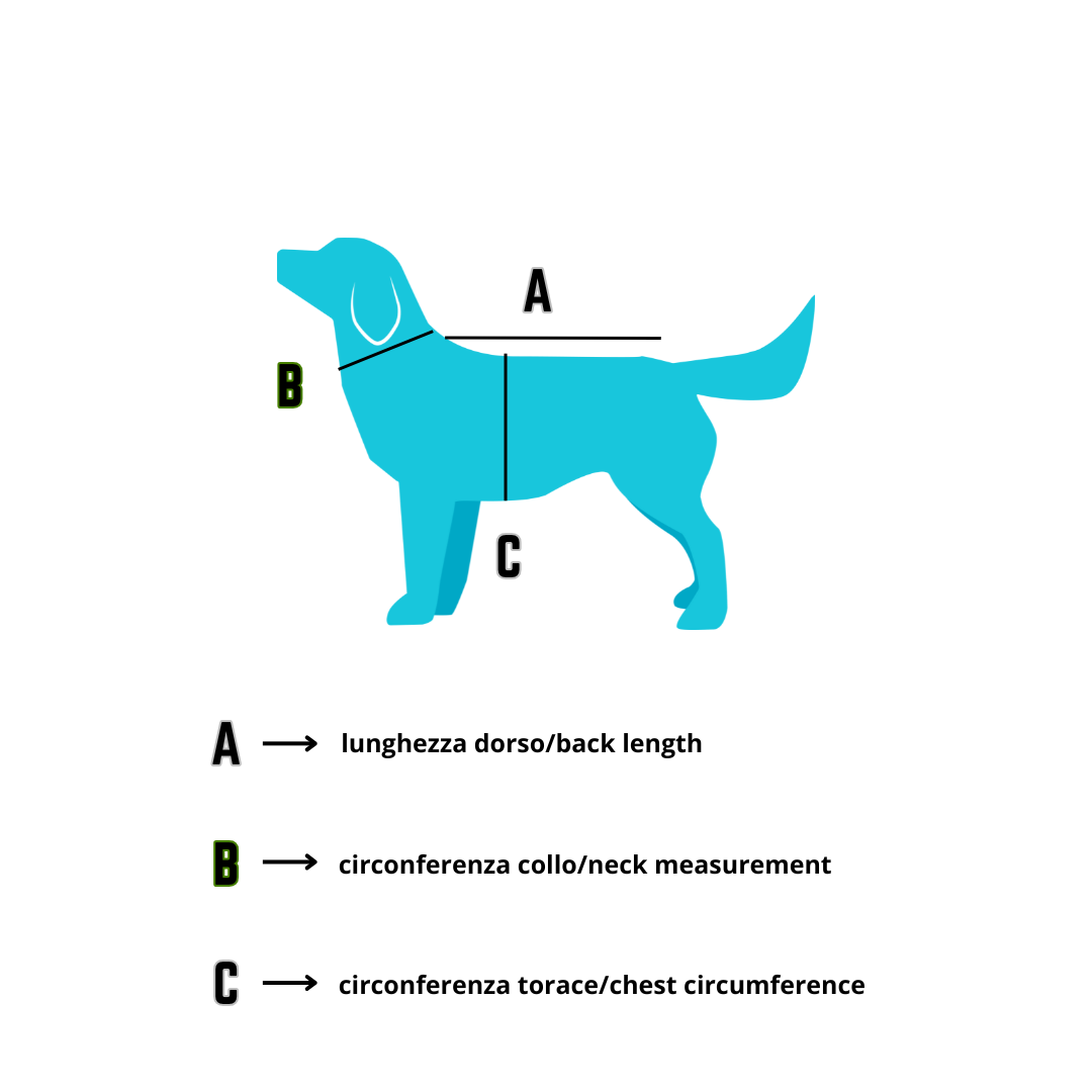 Manteau de Luxe pour Chien Bordeaux et Noir en Laine et Cachemire – Pièce Unique | Made in Italy Taille L