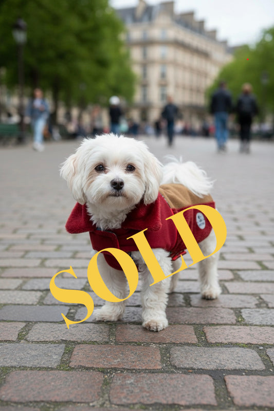 Manteau Artisanal pour Chien – Nuances Rouge, Bordeaux & Camel (Pièce Unique)- Taille L