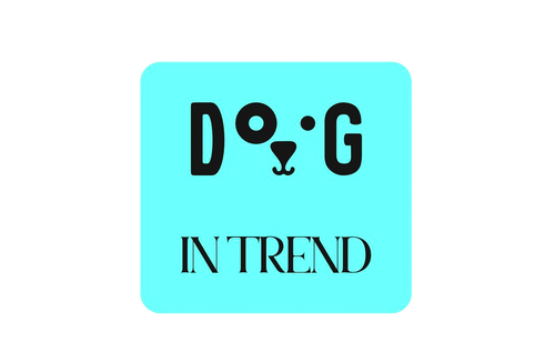 dog in trend